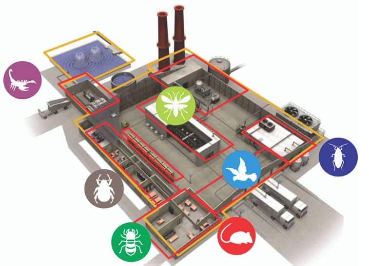 Diagrama institucional da Detecta mostrando áreas e pontos de monitoramento do SIMP